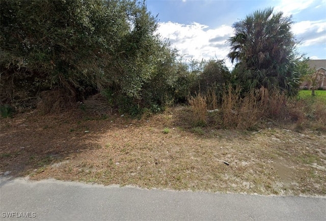 3805 34th St SW, Lehigh Acres FL, 33976 land for sale