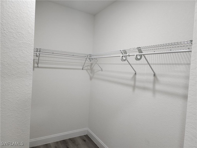 walk in closet featuring dark wood finished floors
