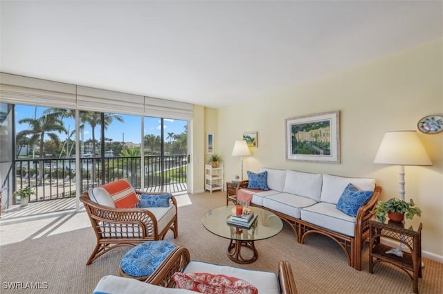 view of carpeted living area