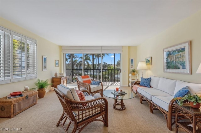 view of carpeted living room