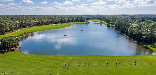 drone / aerial view with a water view and a view of trees