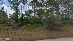 Listing photo 2 for 1042 Hobart St, Lehigh Acres FL 33974