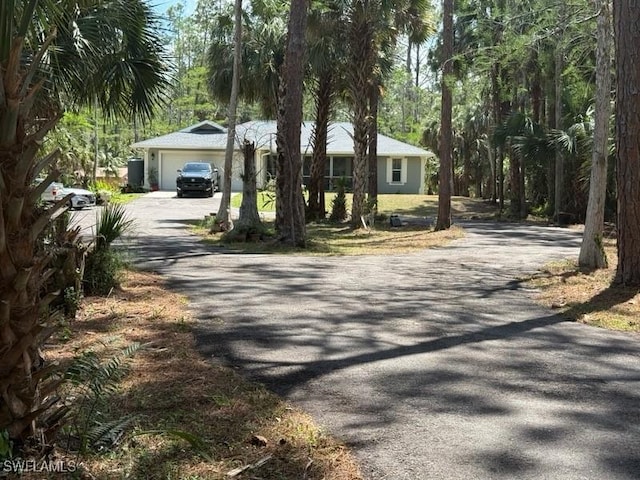 view of street with driveway
