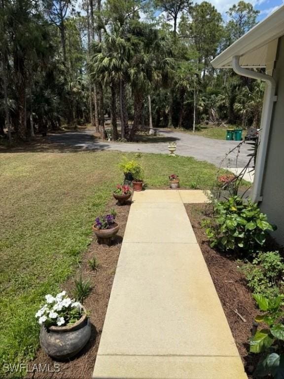 view of yard