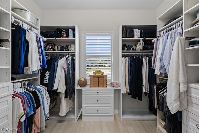 view of spacious closet