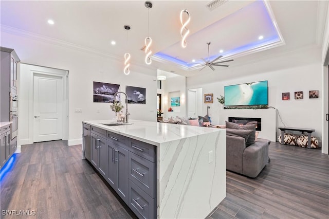 kitchen with a sink, a raised ceiling, dark wood finished floors, and gray cabinets