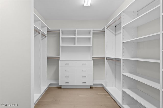 spacious closet featuring light wood-type flooring