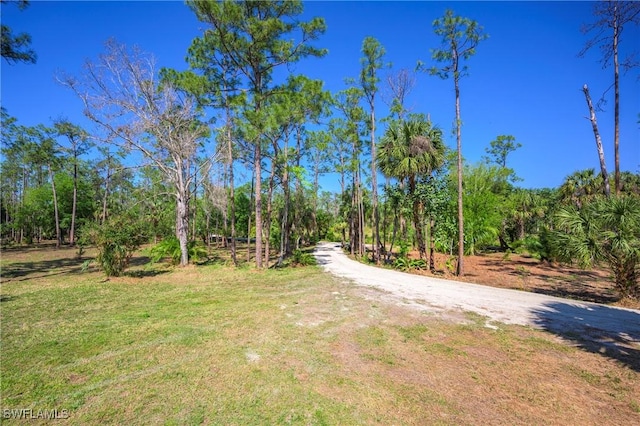 view of road with a wooded view