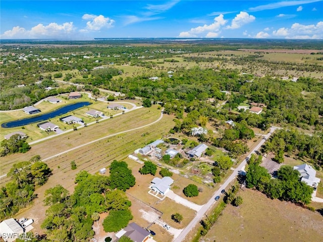 17450 Taylor Rd, Alva, FL 33920 - bird's eye view