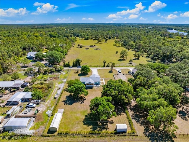 17450 Taylor Rd, Alva, FL 33920 - birds eye view of property with a wooded view