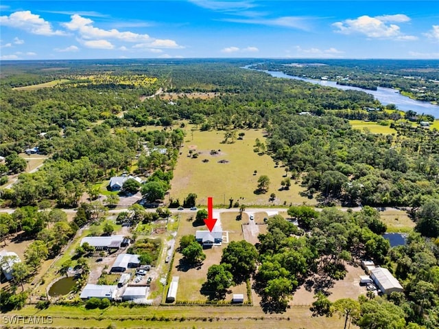 17450 Taylor Rd, Alva, FL 33920 - bird's eye view featuring a view of trees and a water view