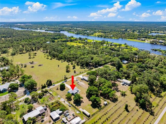 17450 Taylor Rd, Alva, FL 33920 - aerial view with a view of trees and a water view