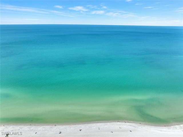 property view of water featuring a beach view