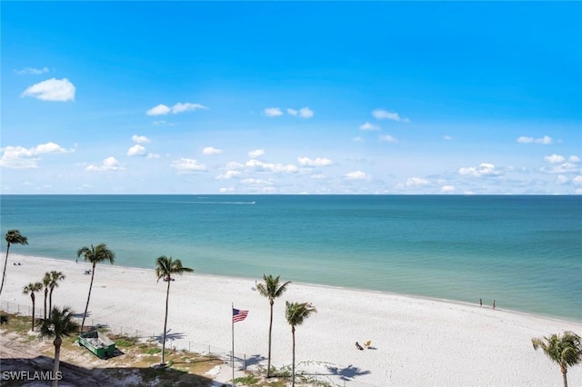 property view of water featuring a beach view