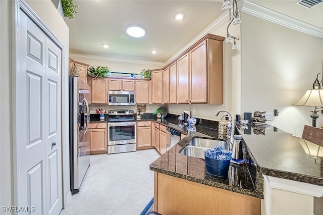 kitchen with a peninsula, crown molding, appliances with stainless steel finishes, and a sink