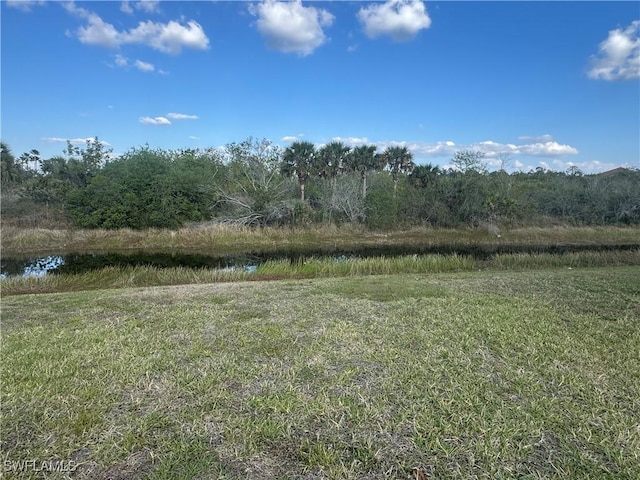 view of yard featuring a water view