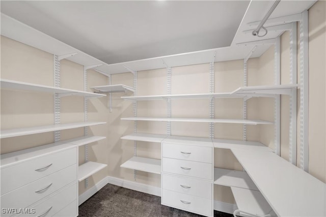 view of walk in closet