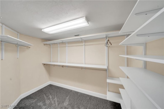 spacious closet featuring carpet flooring