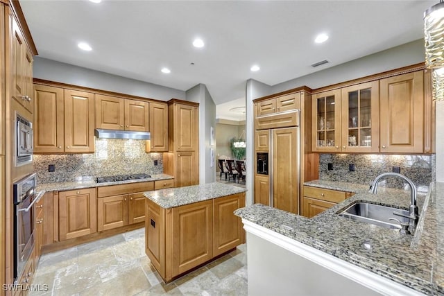 9293 Menaggio Ct Unit 102, Naples, FL 34114 - kitchen with visible vents, light stone countertops, under cabinet range hood, built in appliances, and a sink