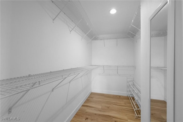 spacious closet featuring light wood-type flooring