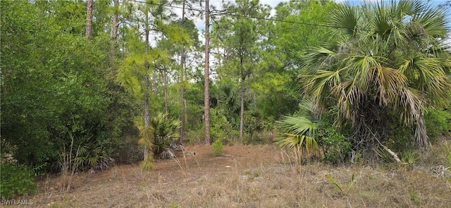 3204 E 13th St, Lehigh Acres FL, 33972 land for sale