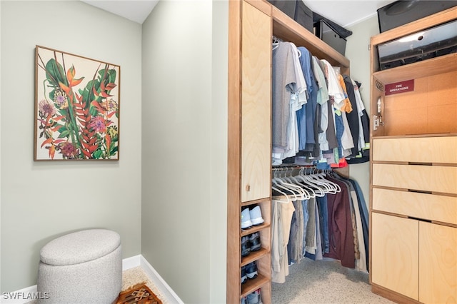 view of spacious closet