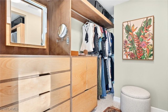 view of spacious closet