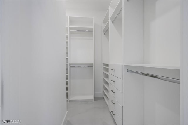 view of walk in closet