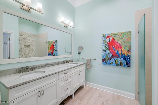 bathroom featuring double vanity, baseboards, wood finished floors, and a sink