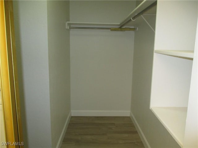 spacious closet featuring wood finished floors