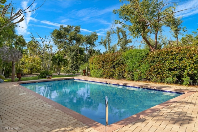 view of outdoor pool