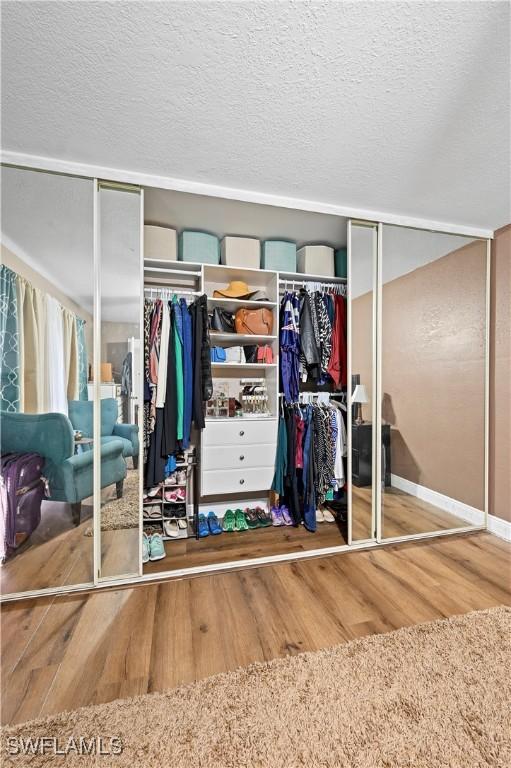 view of closet
