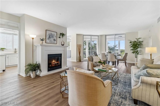 living area featuring wood finished floors, a glass covered fireplace, and baseboards