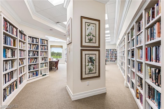 corridor featuring carpet, ornamental molding, baseboards, and a raised ceiling
