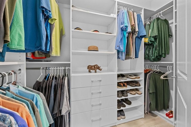 view of spacious closet