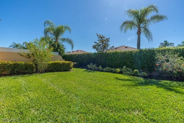 7520 Firenze Ln, Naples, FL 34114 - view of yard