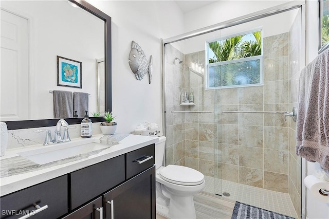 bathroom with toilet, a stall shower, and vanity