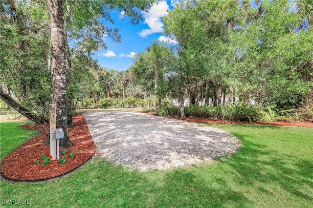 1420 14th Ave NE, Naples, FL 34120 - surrounding community featuring a yard