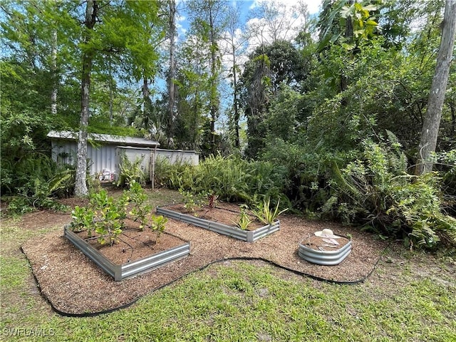 1420 14th Ave NE, Naples, FL 34120 - view of yard featuring a vegetable garden