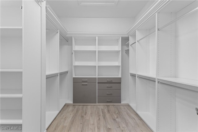 walk in closet featuring light wood-style flooring