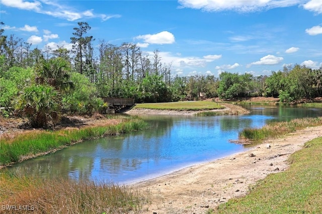 10530 Amiata Way Unit 105, Fort Myers, FL 33913 - property view of water