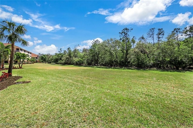 10530 Amiata Way Unit 105, Fort Myers, FL 33913 - view of yard