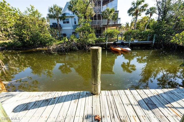 dock area with a water view