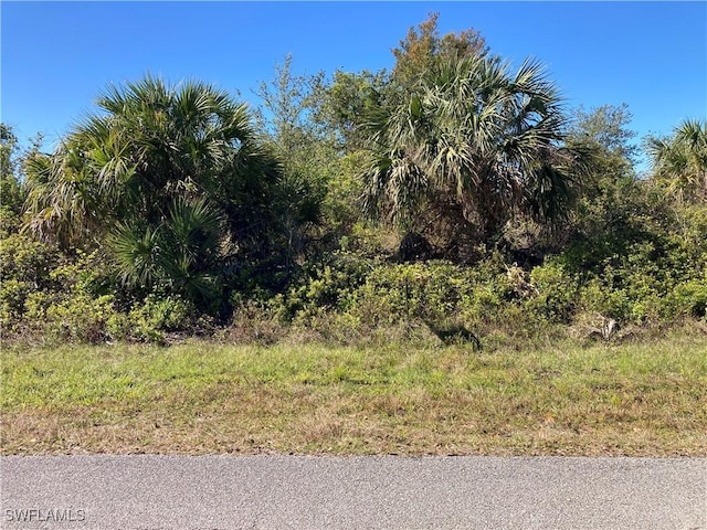 13395 Bouvardia Ln, Port Charlotte, FL 33981