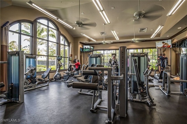 8021 Calle Canovas Ct, Naples, FL 34114 - exercise room featuring ceiling fan, plenty of natural light, and vaulted ceiling
