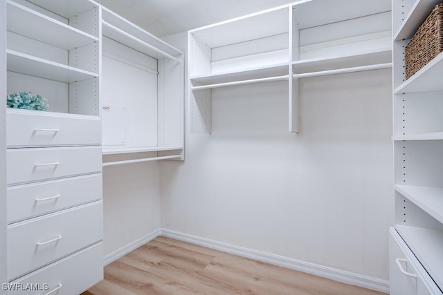 walk in closet with light wood finished floors