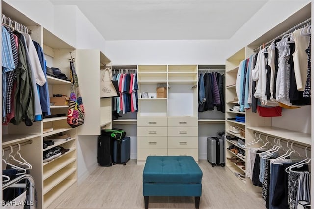 spacious closet with wood finished floors