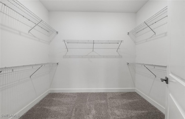 3056 Weston Manor Dr, Alva, FL 33920 - spacious closet featuring carpet flooring