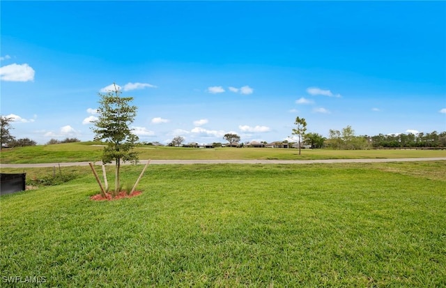 3056 Weston Manor Dr, Alva, FL 33920 - view of yard featuring a rural view