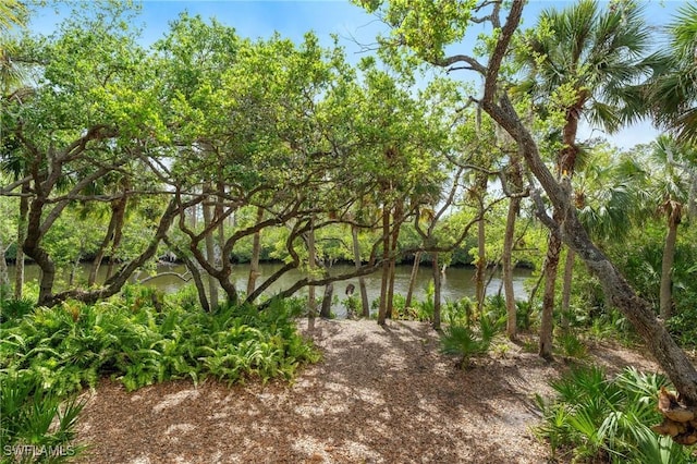 20732 Charing Cross Cir, Estero, FL 33928 - view of yard